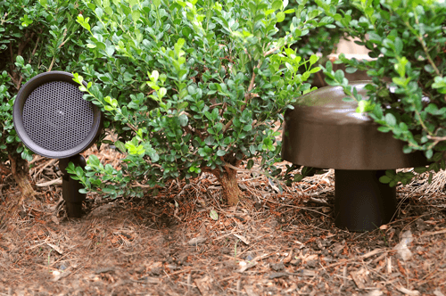 Speakers blend into your landscaping. The mushroom looking thing is an inground subwoofer!