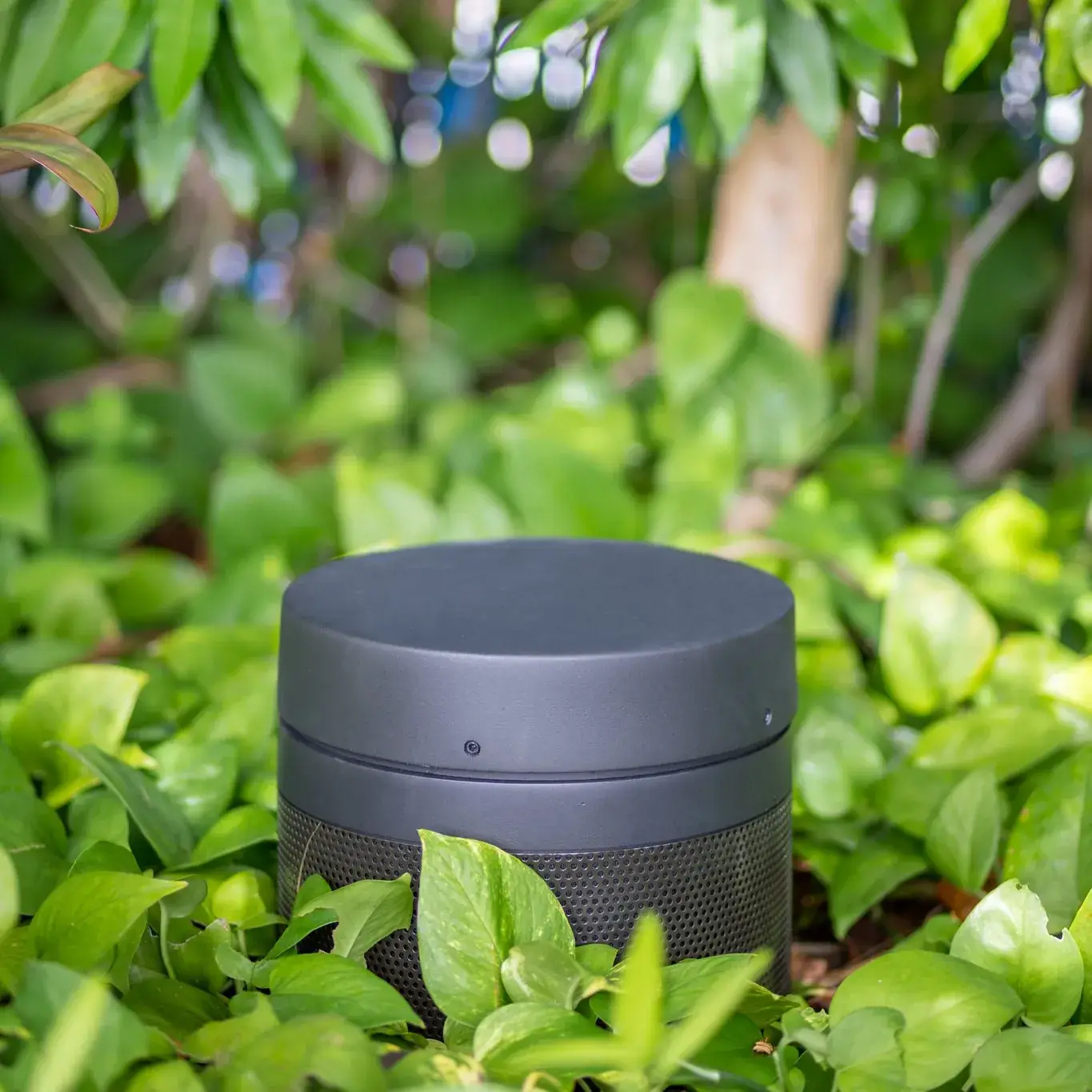 Coastal Source bollard subwoofer for outdoor audio